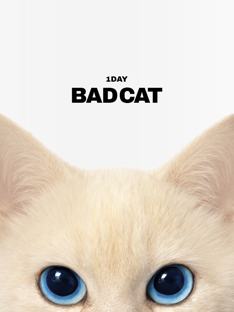 배드캣 원데이 런칭_모바일