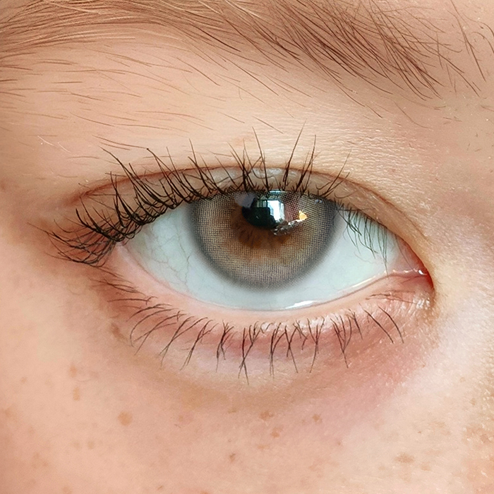 원데이 배드캣 이집션 그레이